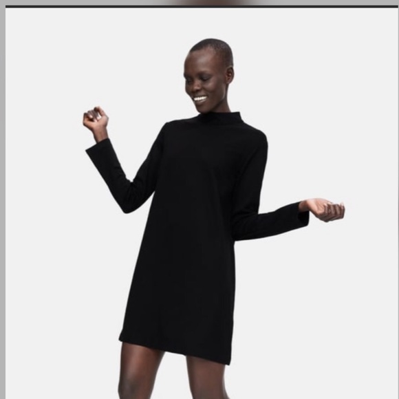 zara mock neck dress